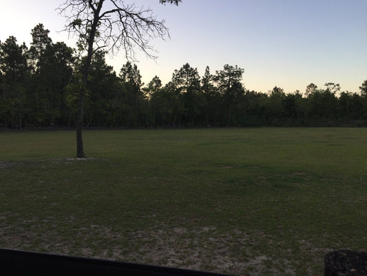 The Pasture Tender Origin Story (Part 2/9)