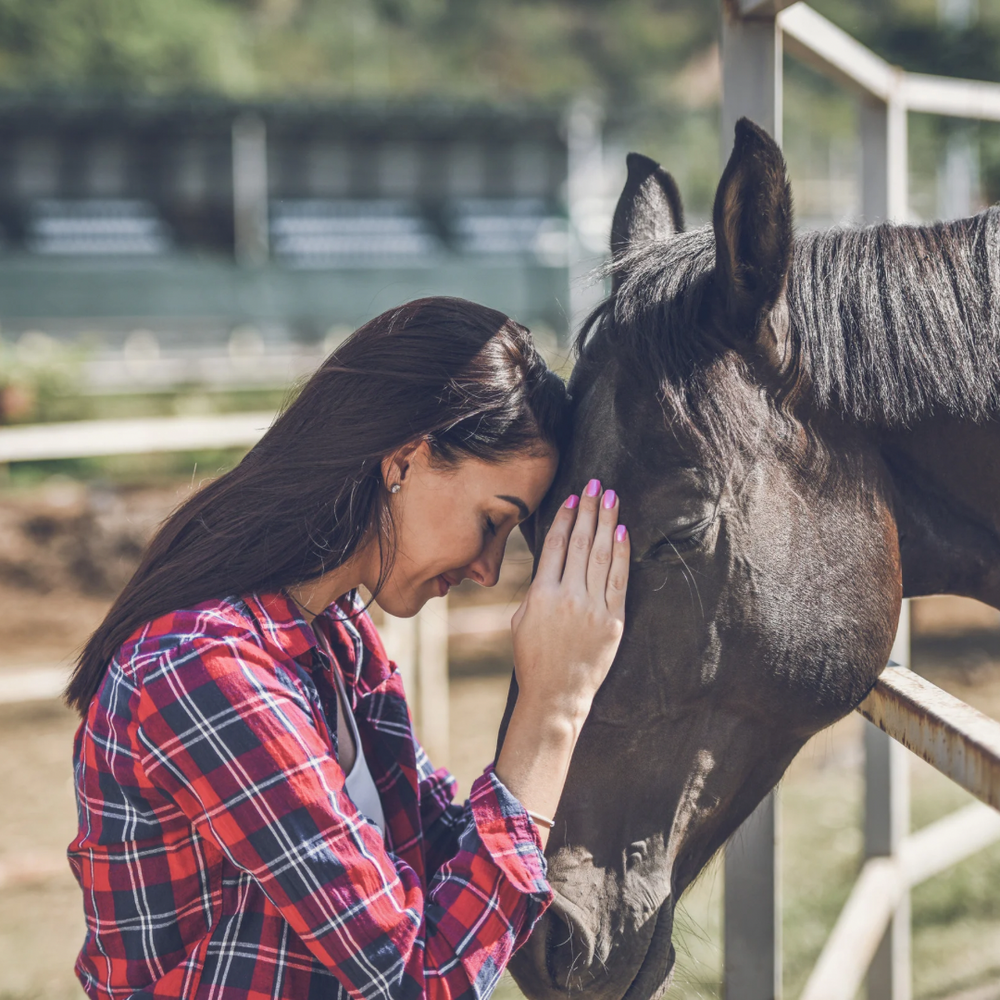 Horse Owner, Restore Your Own Sense of Balance & Order