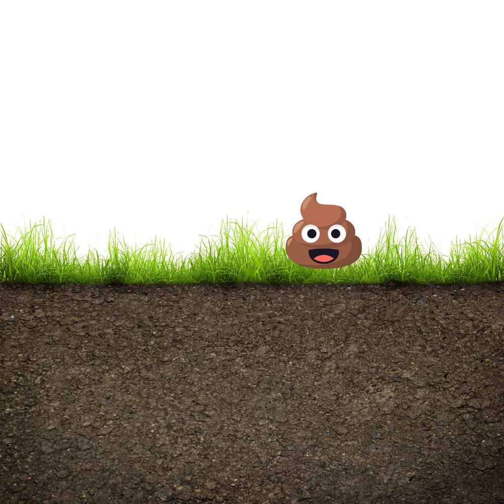 The Horse Poop Paradox: Part 1 of 2