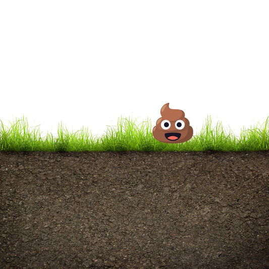 The Horse Poop Paradox: Part 1 of 2