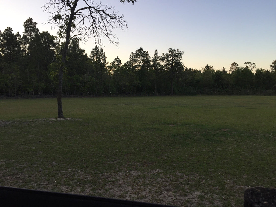 The Pasture Tender Origin Story (Part 2/9)