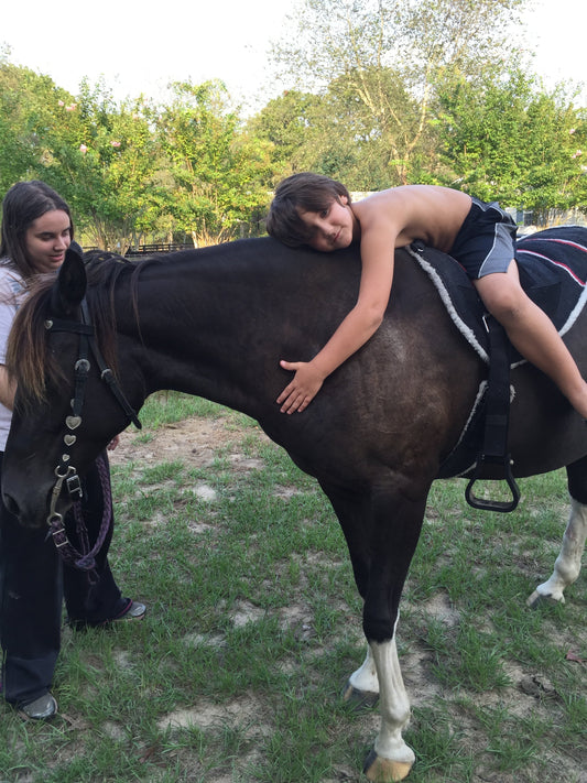 Having Horses at Home Almost Squashed Our Dreams